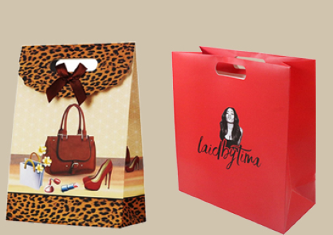 DIE CUT HANDLE PAPER BAG